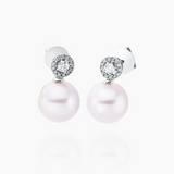 Solitaire Pearl Ohrhänger